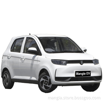 New hot selling 5-door 4-seat left turn new energy vehicle for sale high quality rechargeable Chinese electric car